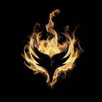 wild-phoenix-logo-200x200-9231