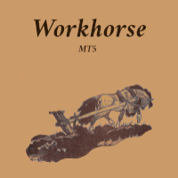 workhorse-mt5-logo-200x200-7789