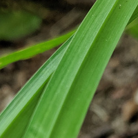 zenfin-logo-200x200-9483